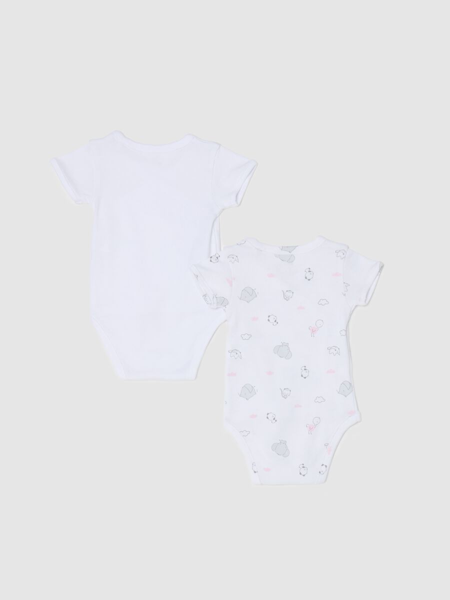 Two-pack bodysuits in organic cotton with V neck and print_1