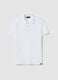 White regular fit pure cotton short sleeve polo_4