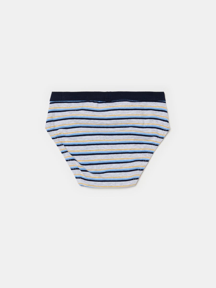 Organic cotton briefs with striped pattern_1