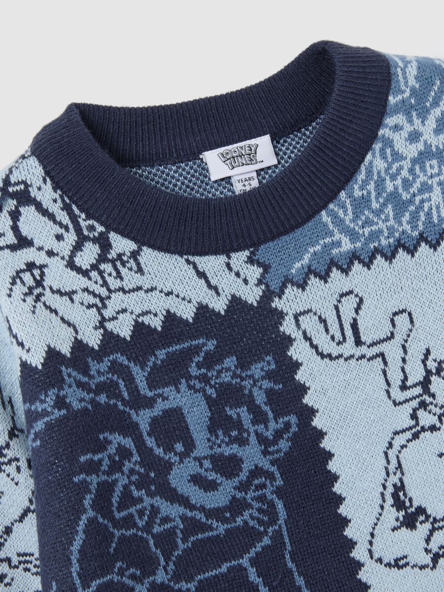 Multicolor crew neck pullover regular fit with Looney Tunes prints_2