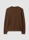 Brown pure cotton crew-neck jumper, regular fit_4