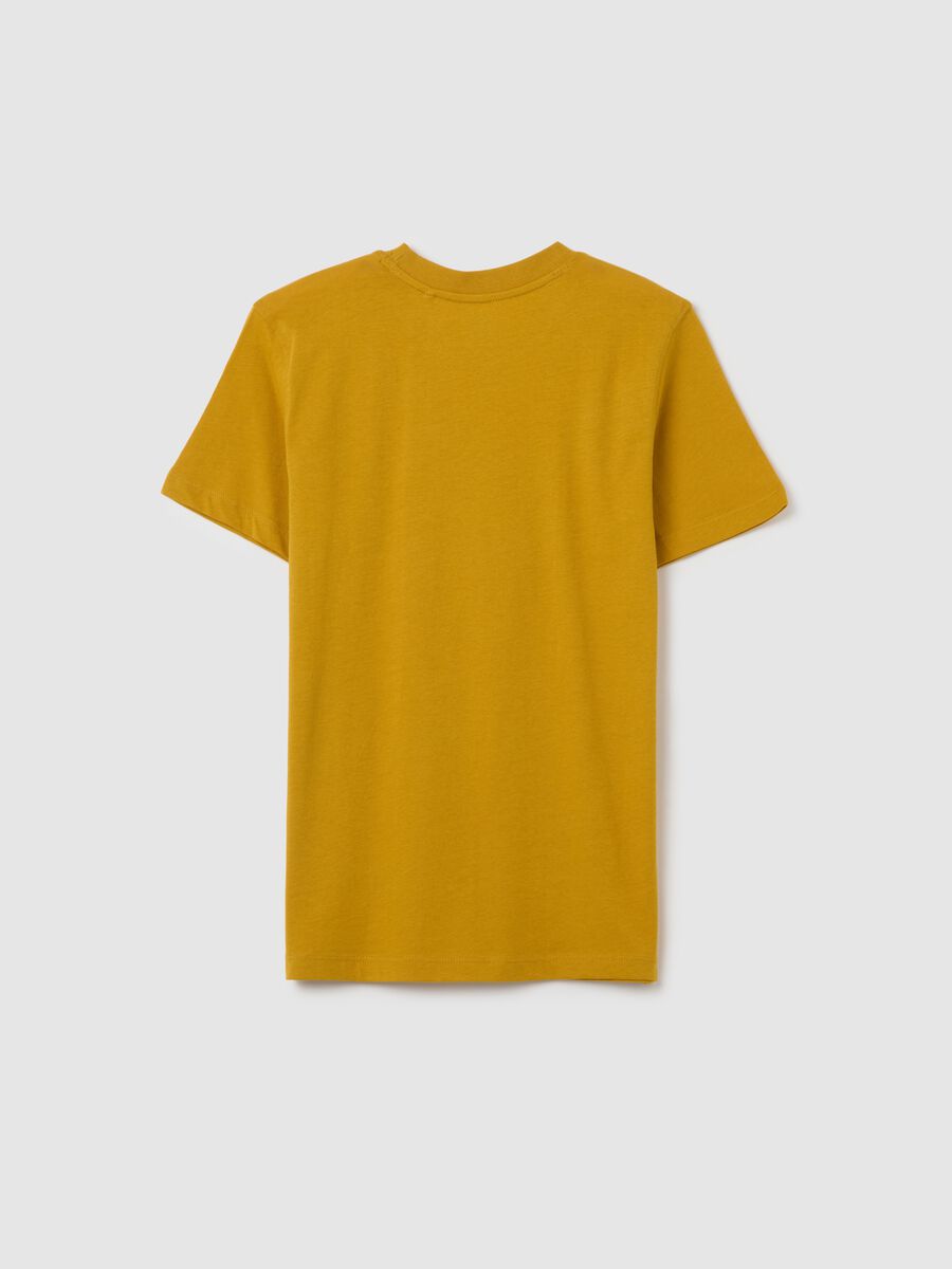 Boys' gold regular fit pure cotton t-shirt with print_1