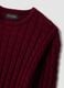 Red crew-neck pure cotton cable-knit jumper, regular fit_1