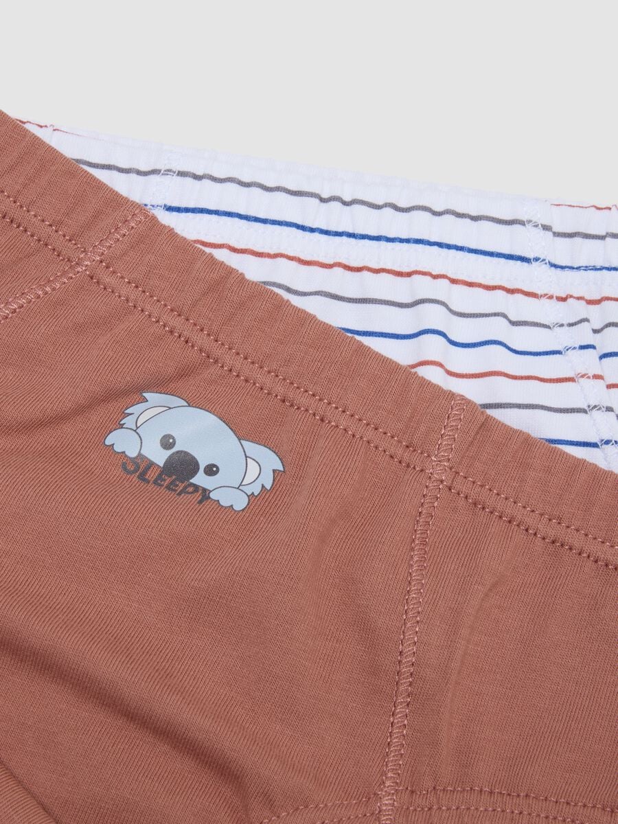 Pack of five multicolour boys&rsquo; briefs in pure organic cotton_2