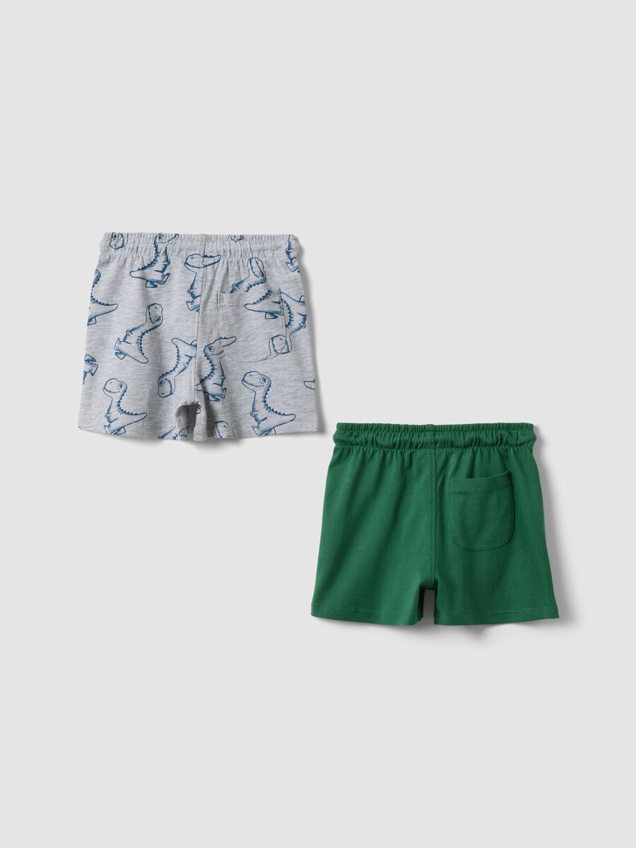 2-pack boys&rsquo; pure cotton multicolour shorts, regular fit_1