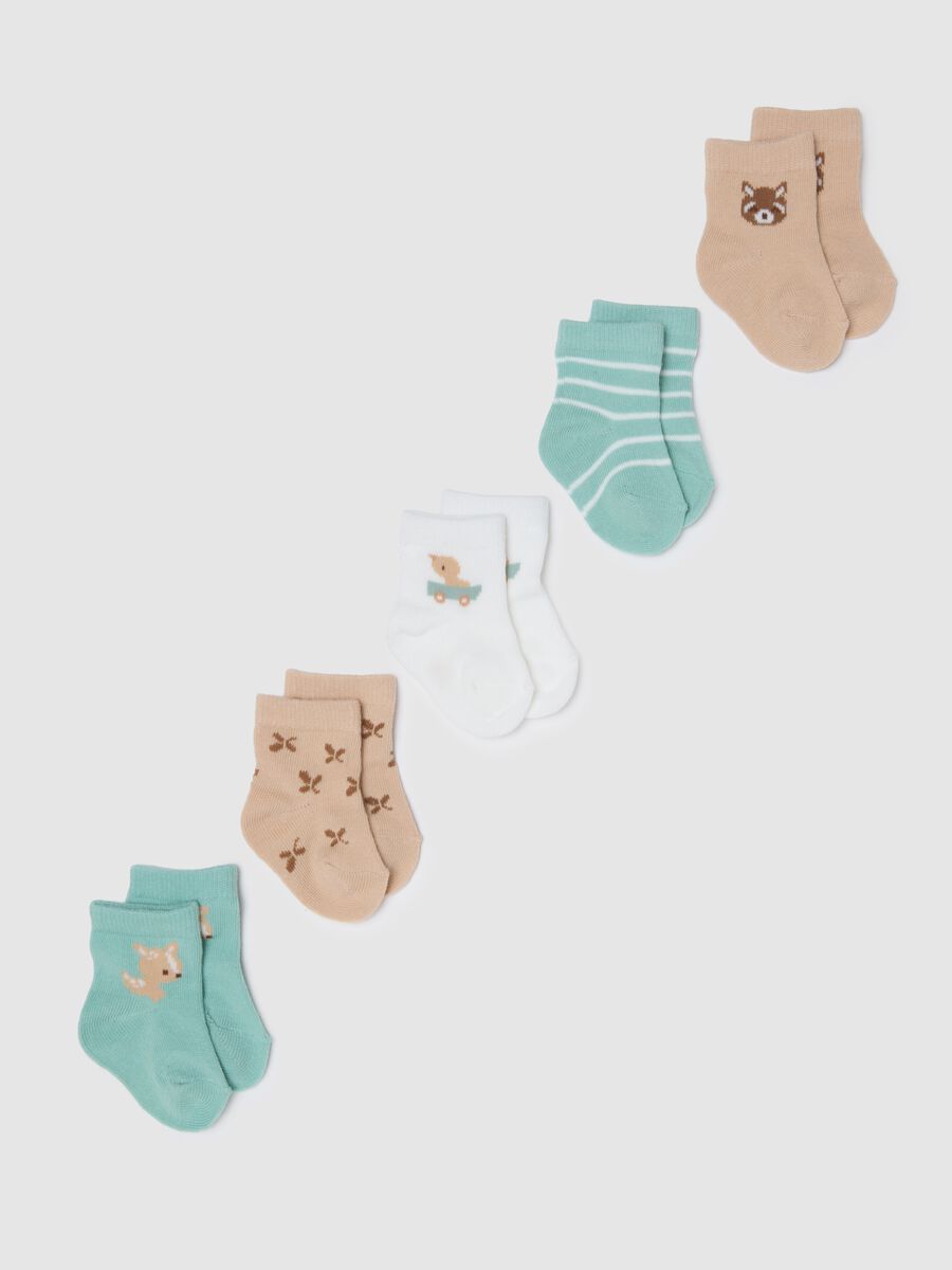 Multipack of newborn multicolour cotton blend socks_0