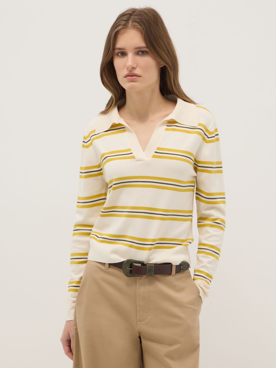 Regular Fit Multicolour Striped Jumper with Polo Collar_0