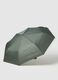 Compact Green Umbrella_0