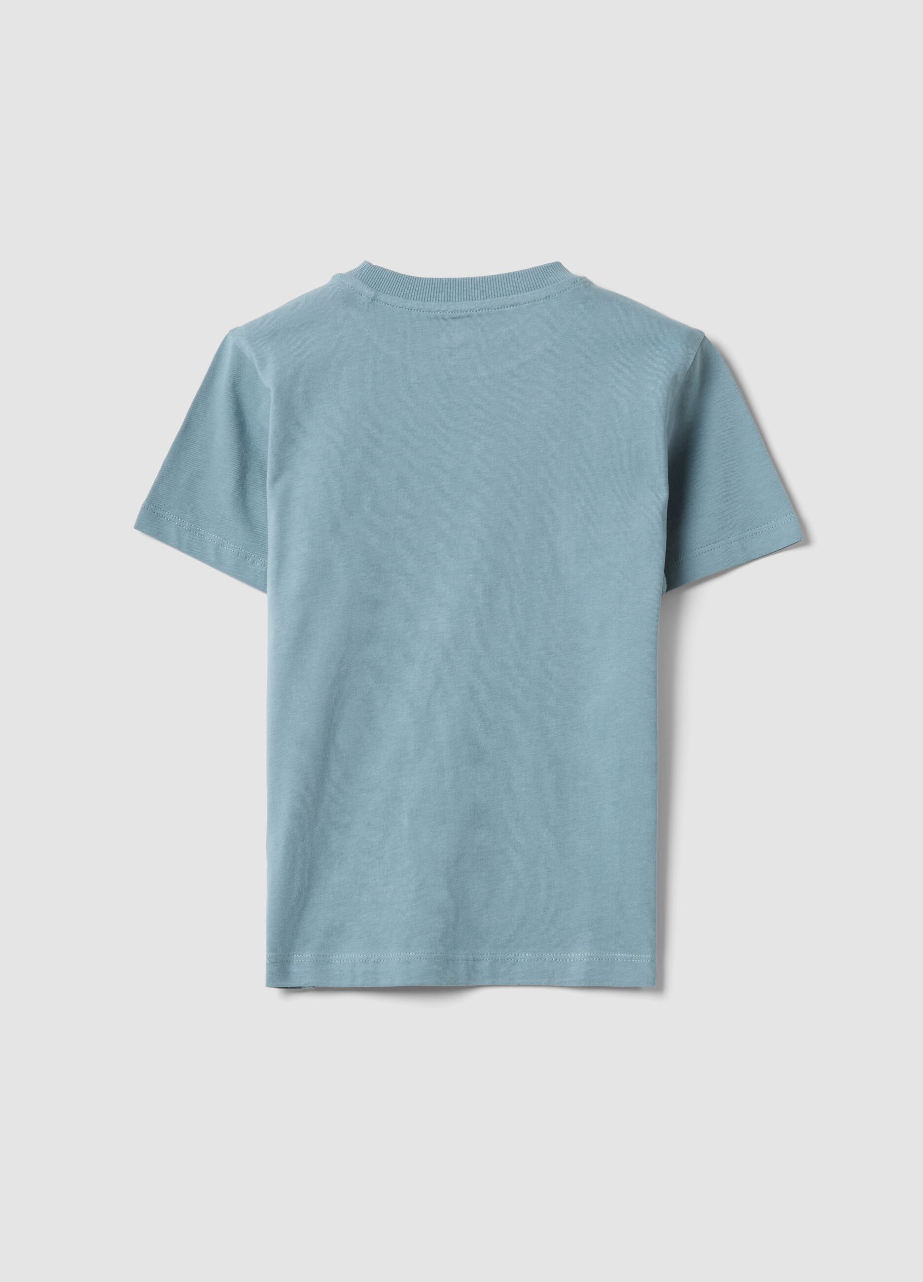 Blue pure cotton boys&rsquo; T-shirt with surf print, regular fit