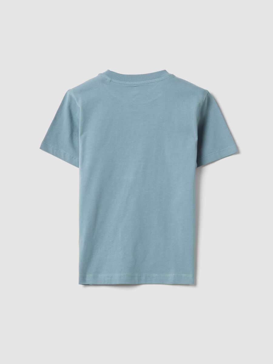 T-shirt azzurra in puro cotone con stampa surf per bambino regular fit_1
