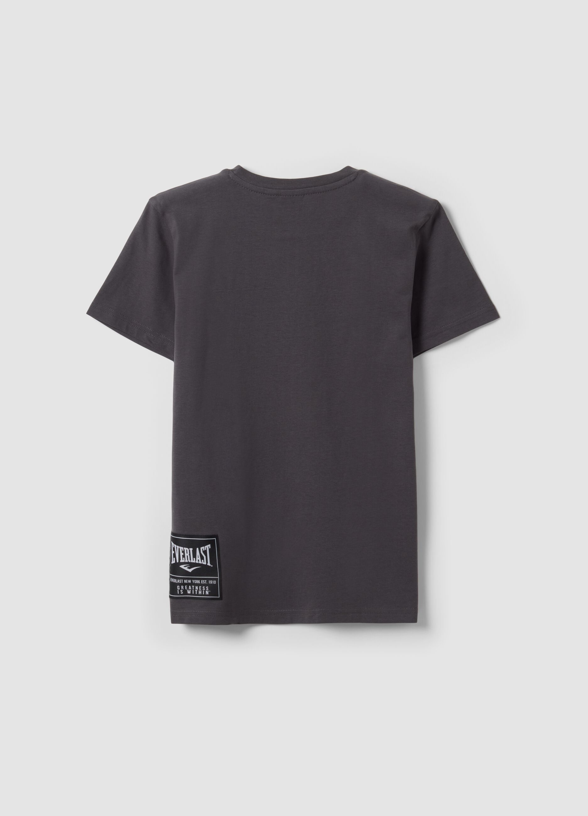 T-shirt grigia in puro cotone con stampa frontale per ragazzo