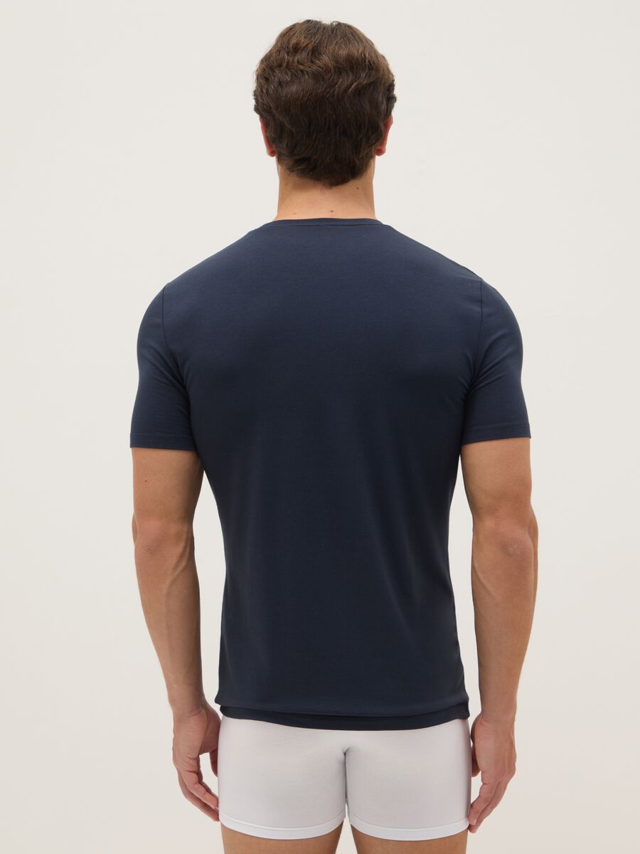 Blue Crew Neck T-shirt Regular Fit_2