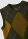 Green jacquard wool-blend crew-neck gilet, regular fit_6