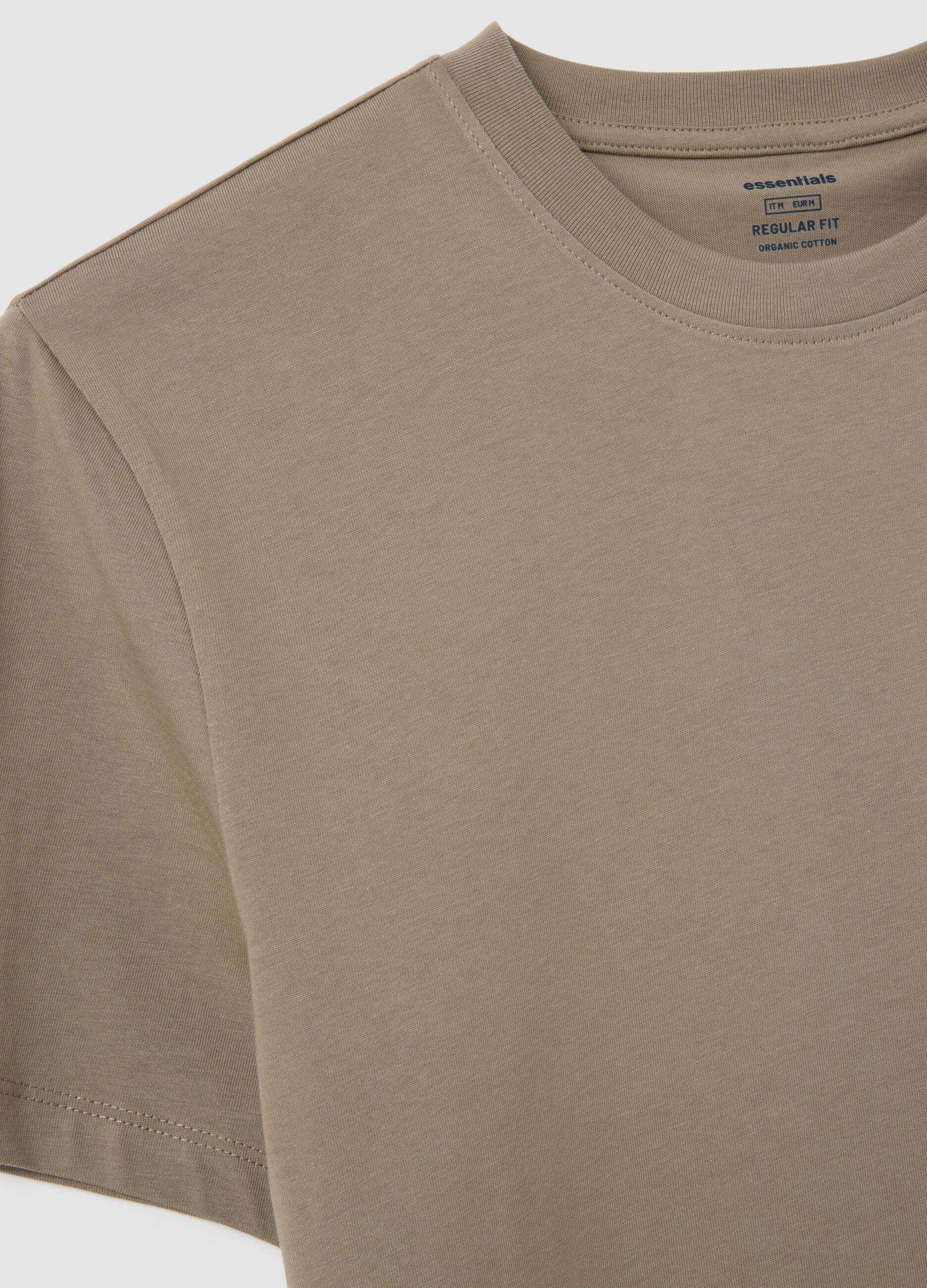 Beige pure cotton regular fit T-shirt
