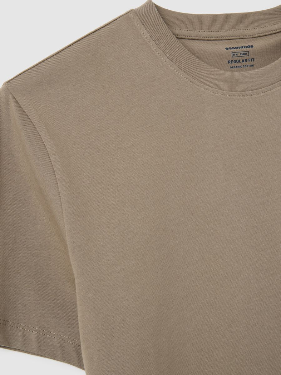Beige pure cotton regular fit T-shirt_5