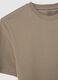 Beige pure cotton regular fit T-shirt_5
