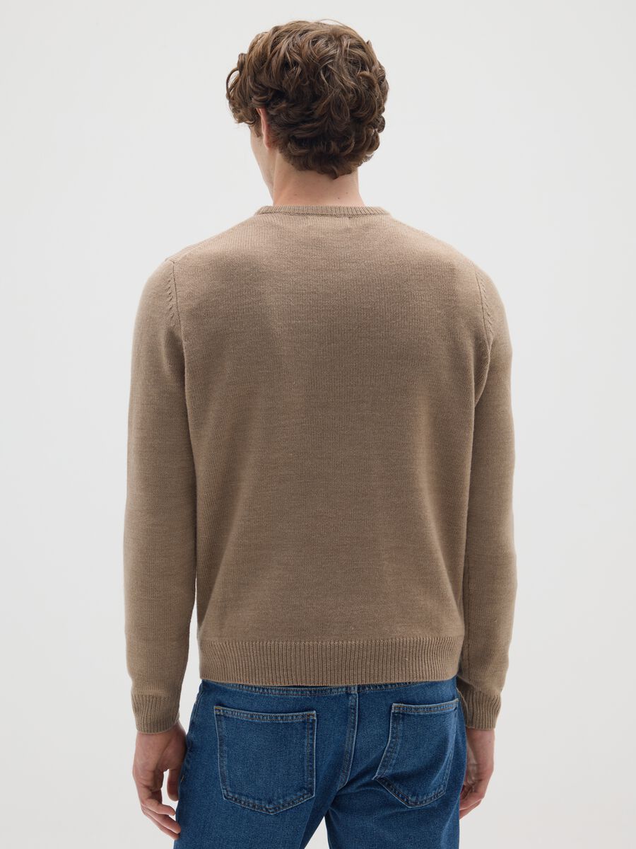 Regular Fit Beige Jumper_2