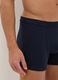 Two-pack blue boxer shorts in stretchy cotton regular fit_3