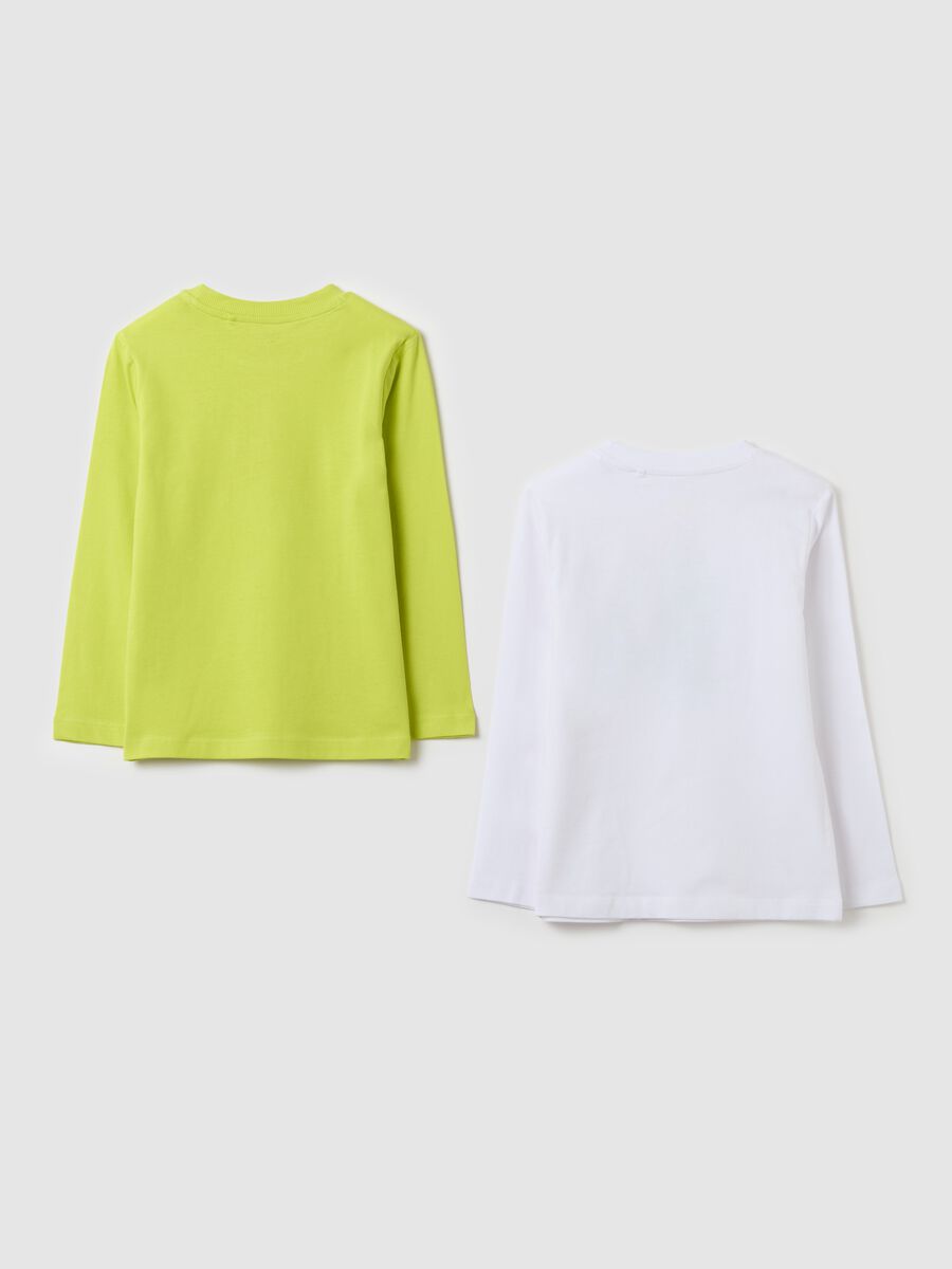Two-pack long-sleeved T-shirts in cotton with print_1
