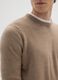 Regular Fit Beige Jumper_3