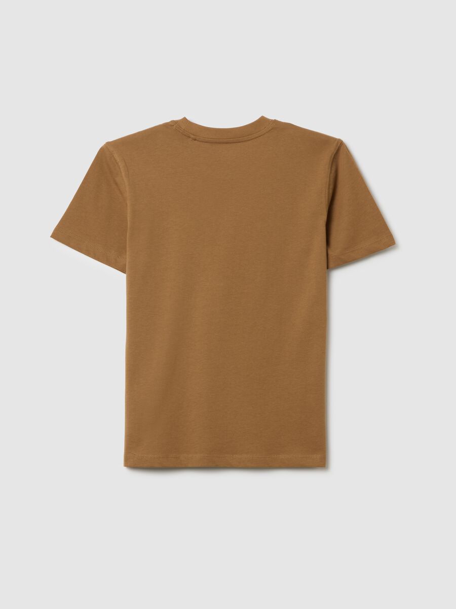 Boys' brown pure cotton regular fit T-shirt_1