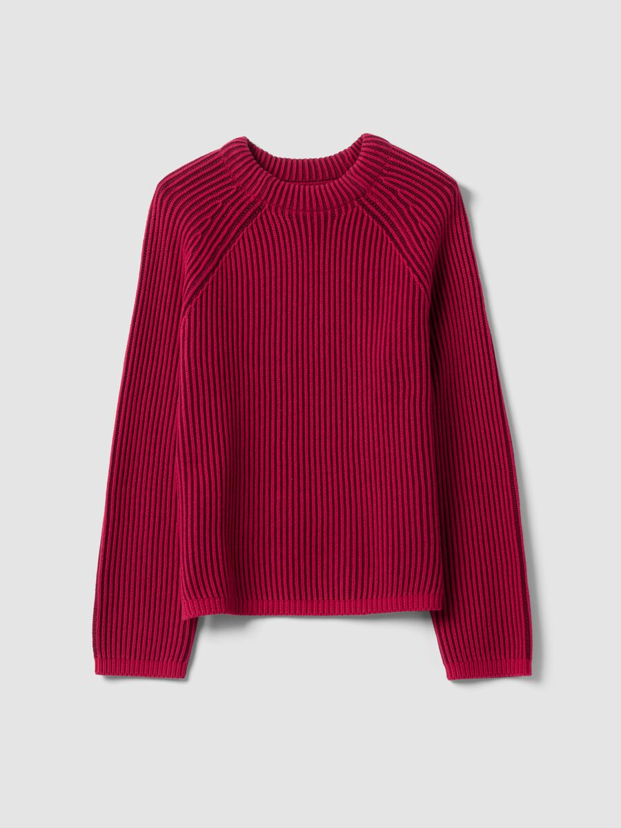 Multicolour pure cotton ribbed crew-neck jumper, regular fit_0