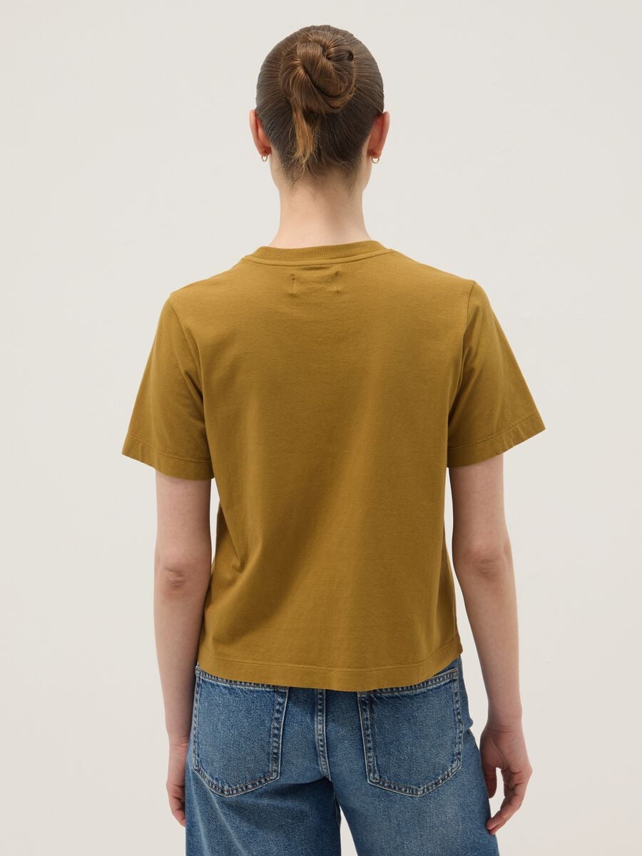 T-shirt marrone a maniche corte in puro cotone regular fit_3