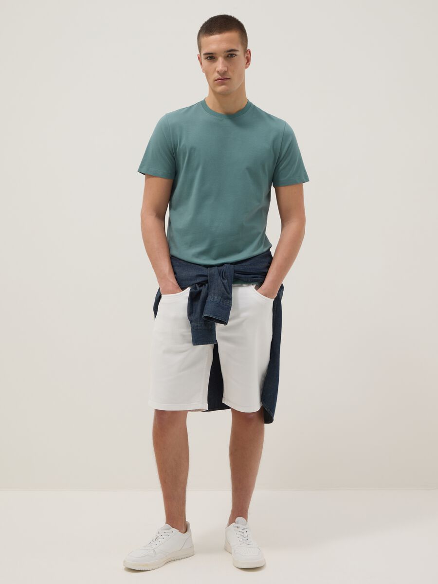 Green pure cotton short sleeve T-shirt, regular fit_2