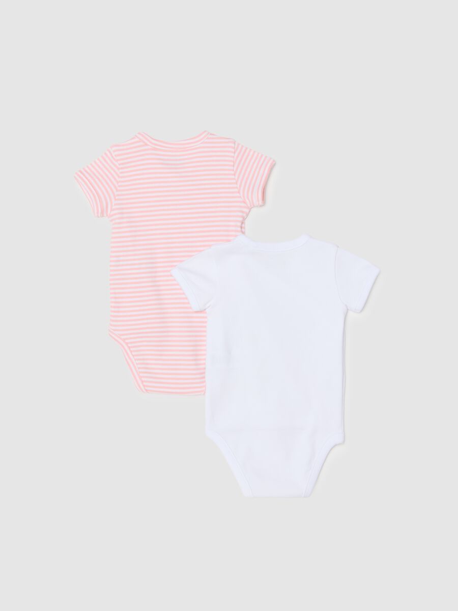 Pack of short-sleeved multicolor bodysuits for baby girls made from pure cotton_1