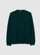 Green lambswool regular fit pullover_0