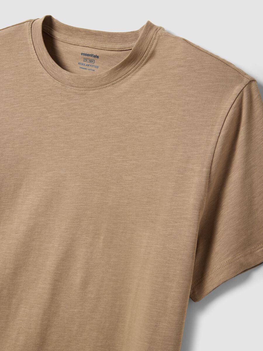 Beige short sleeve regular fit pure cotton t-shirt_5