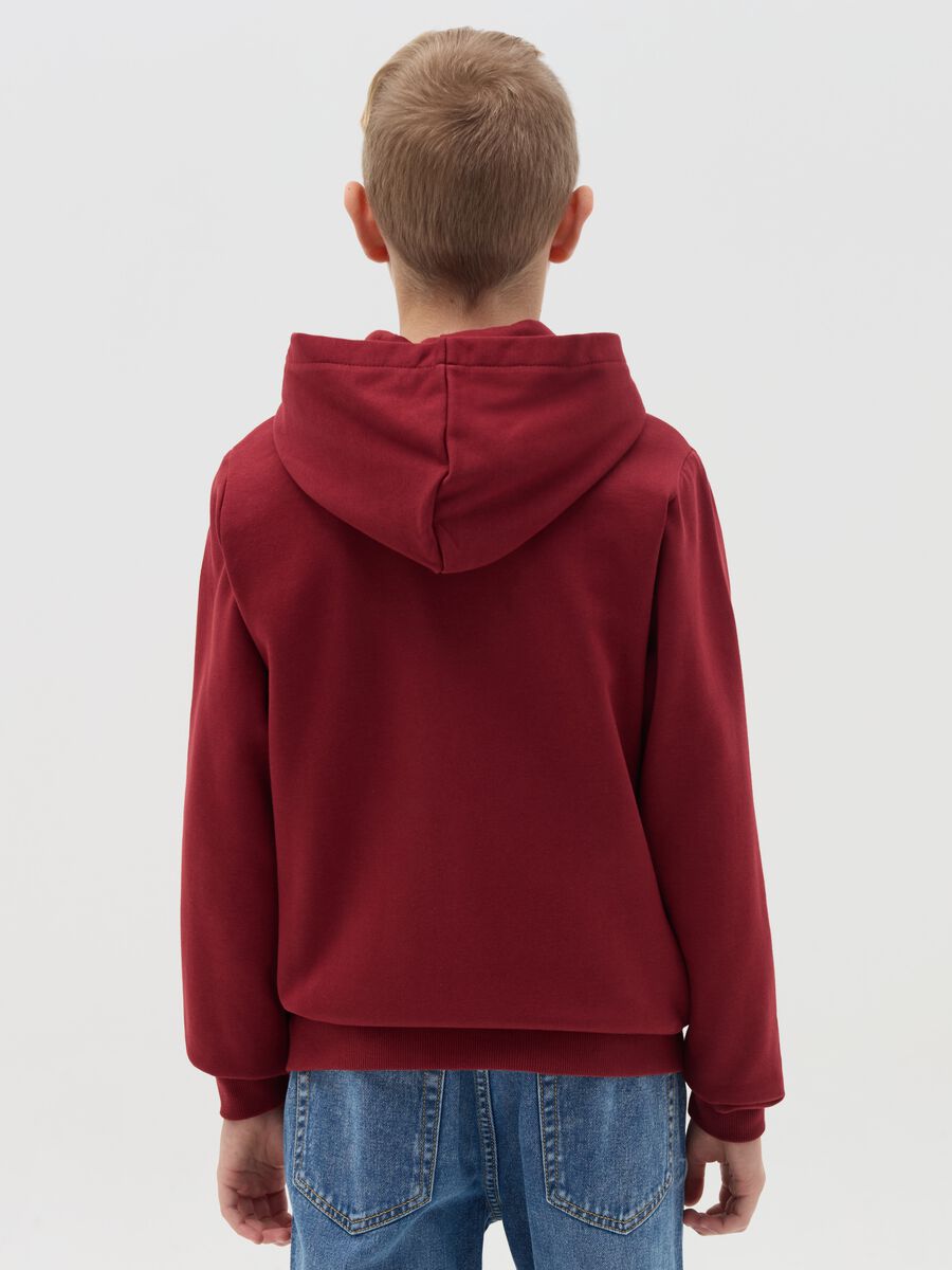 Organic cotton full-zip sweatshirt with hood_2