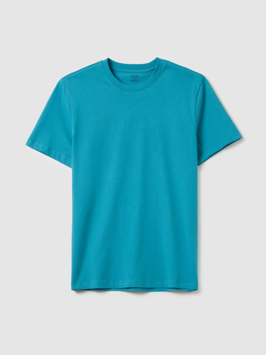 Men's Sky Blue Pure Cotton T-shirt in Regular Fit_4