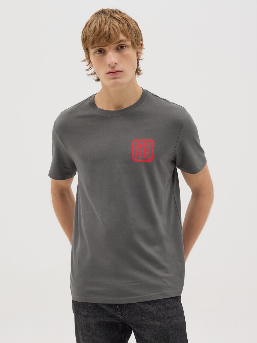 Grey T-shirt with Dragon Ball Z print_0
