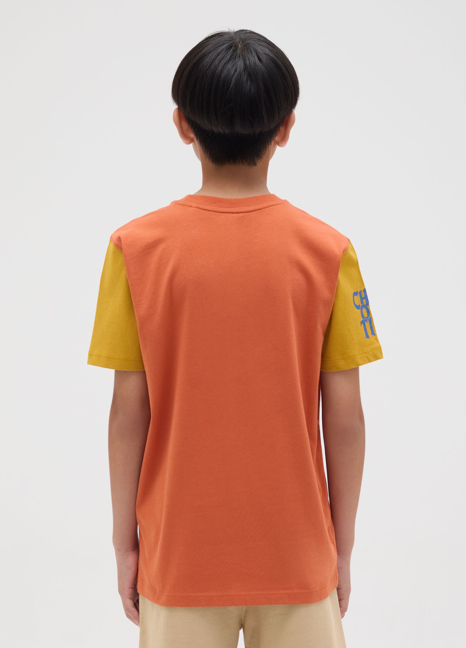 Boy's multicolour pure cotton regular fit T-shirt