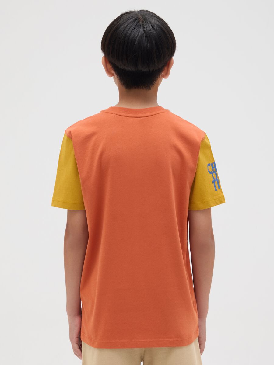 Boy's multicolour pure cotton regular fit T-shirt_1