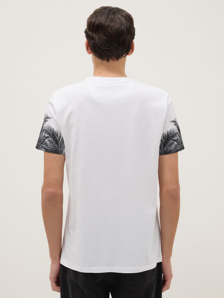 Multicoloured pure cotton regular fit t-shirt with graphic_2