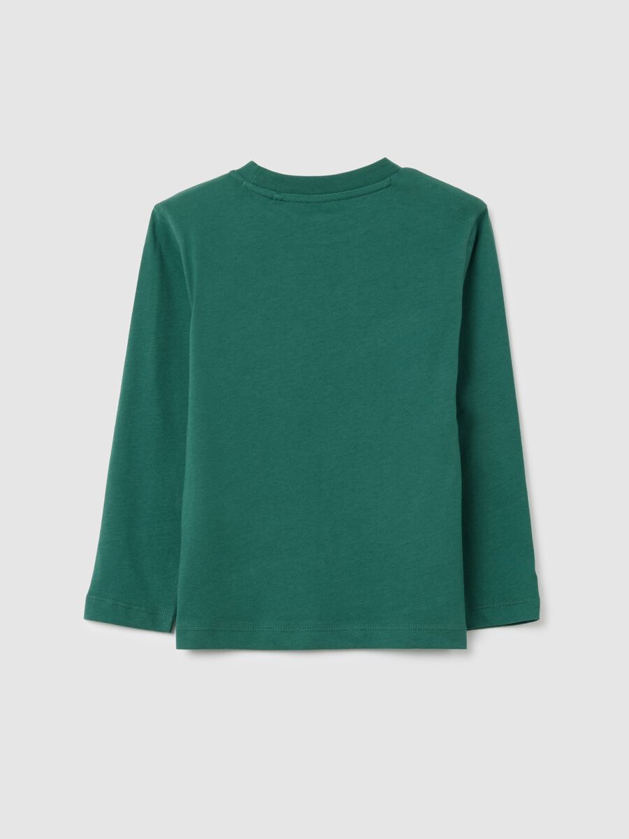 Children's pure cotton green regular fit jumper_1