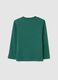 Children's pure cotton green regular fit jumper_1