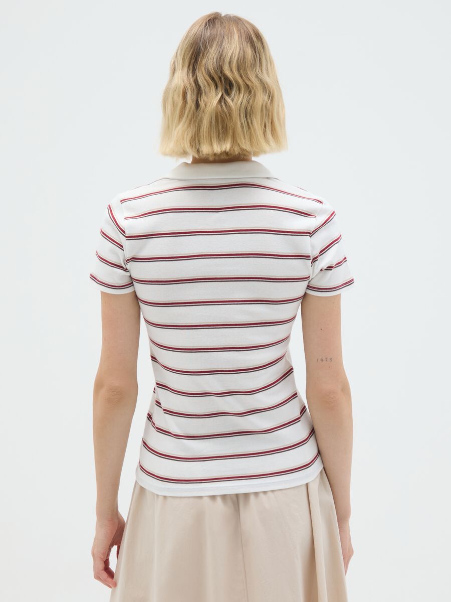Women's Polo Shirt in Pure Multicolour Cotton_3