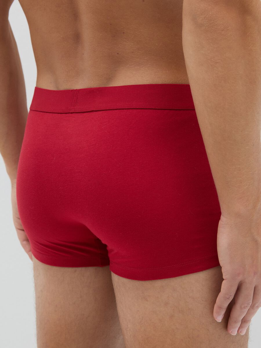 Red Christmas boxers in pure cotton with regular fit and print_2