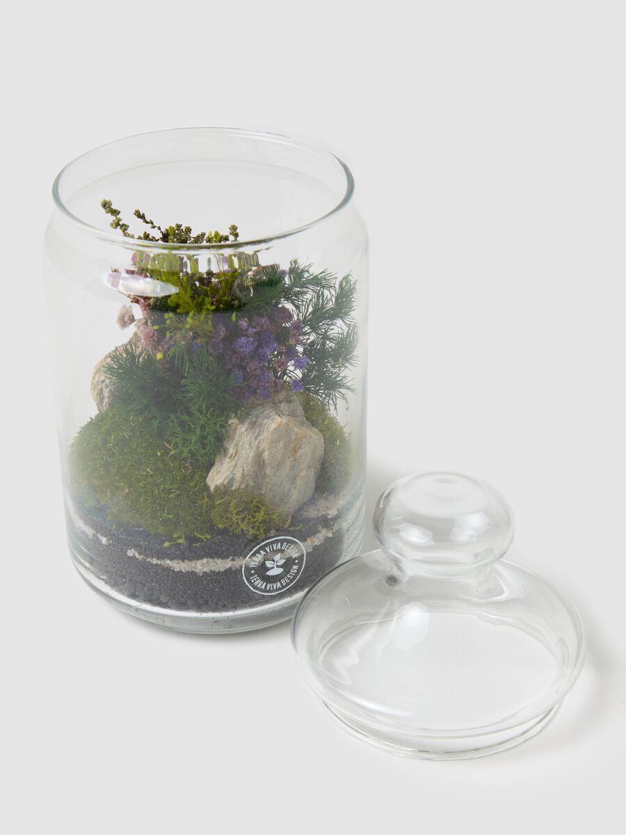 Evergreen Byron XS Terrarium_1