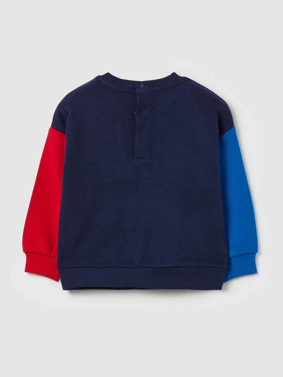 "Team Lions" colourblock sweatshirt in organic cotton_1