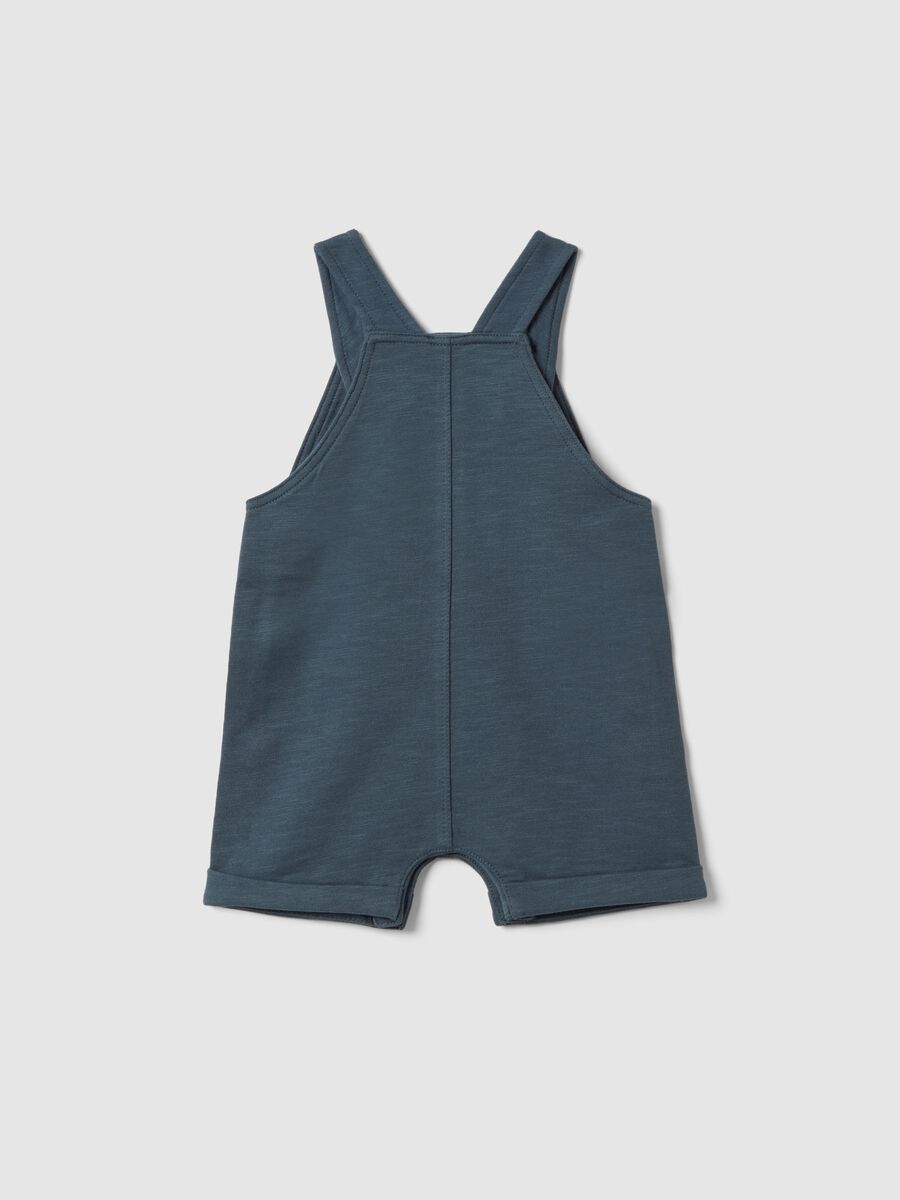 Baby blue cotton dungarees regular fit_1
