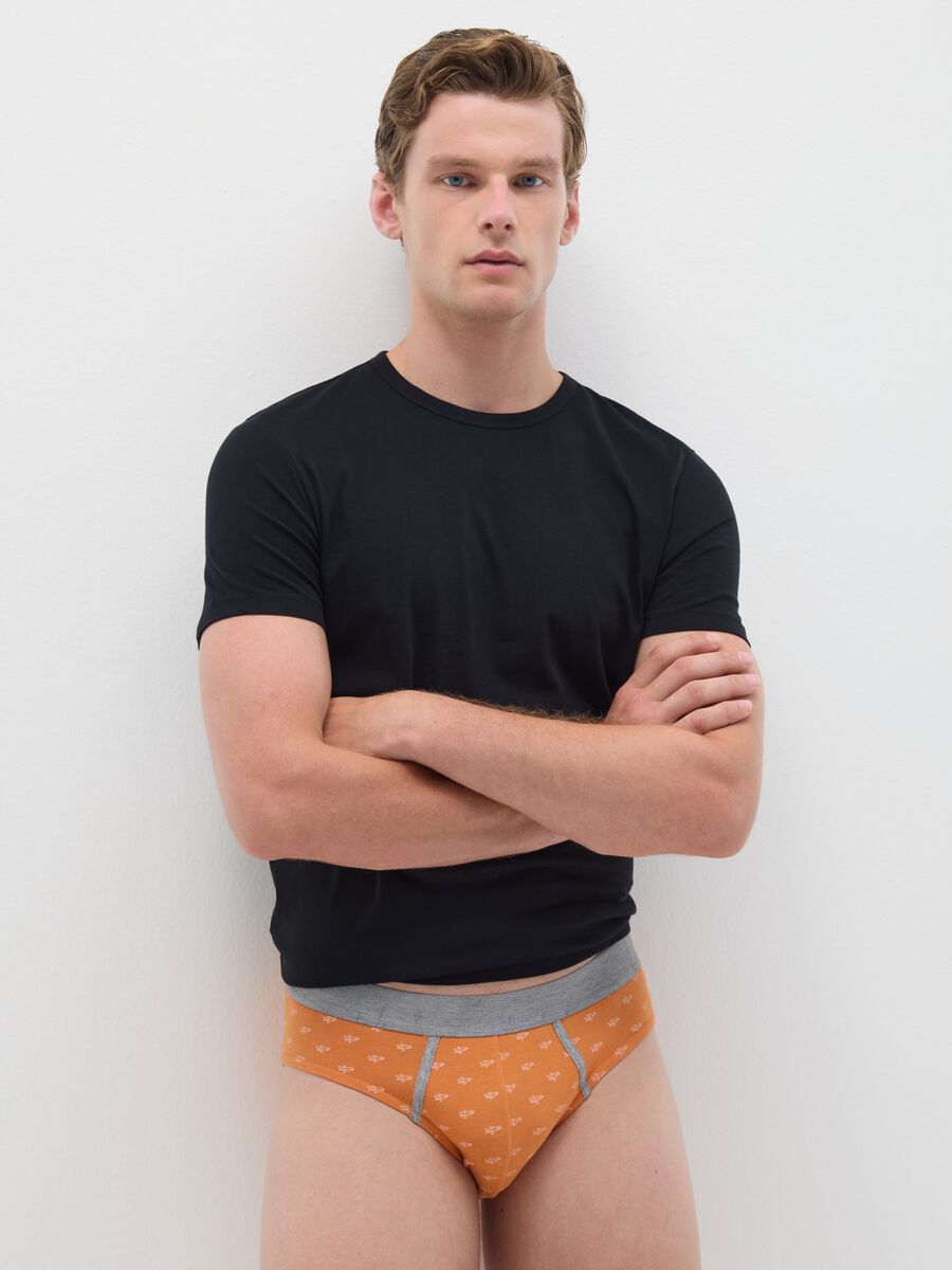 Regular fit multicolour cotton brief set_0