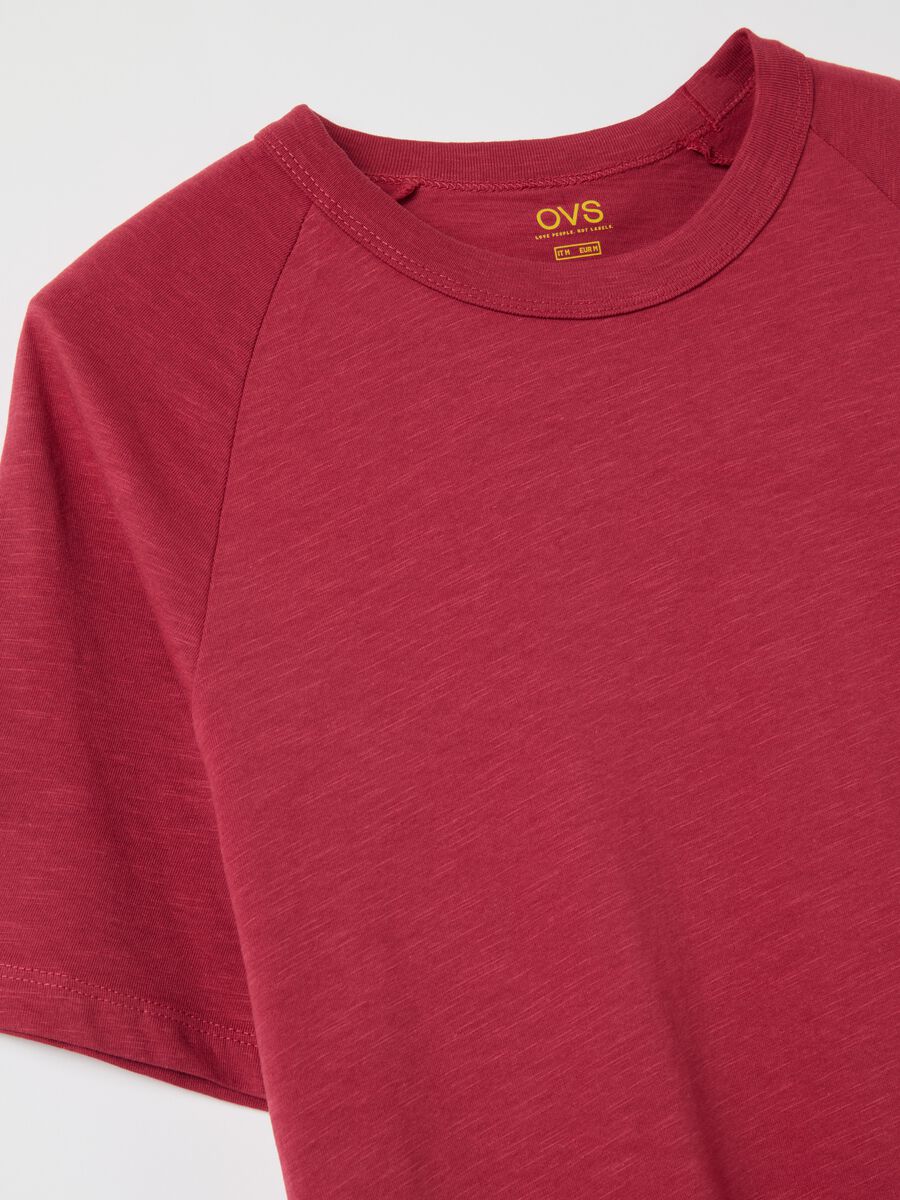 Organic cotton T-shirt_1