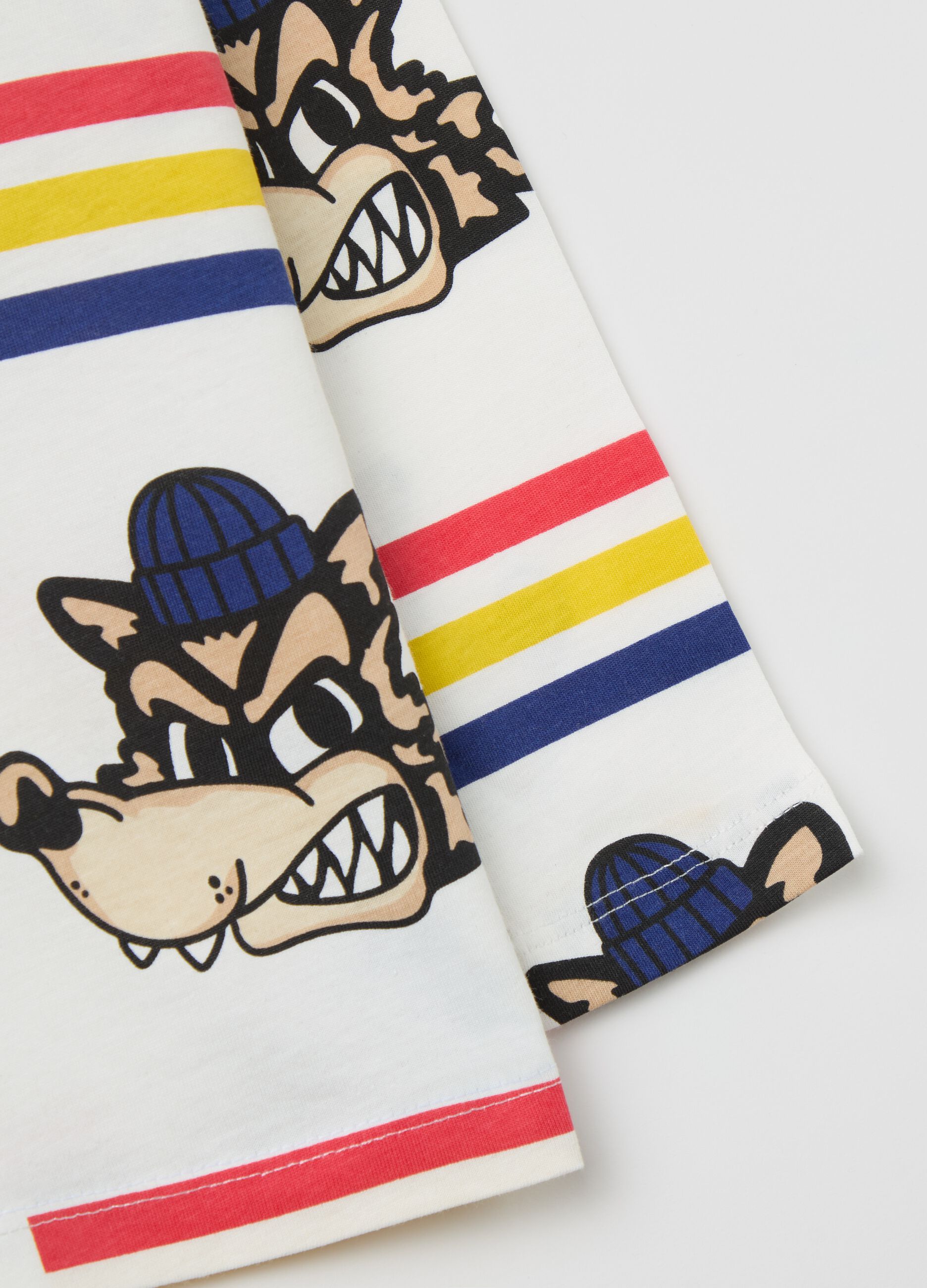 Long-sleeved T-shirt in cotton with print