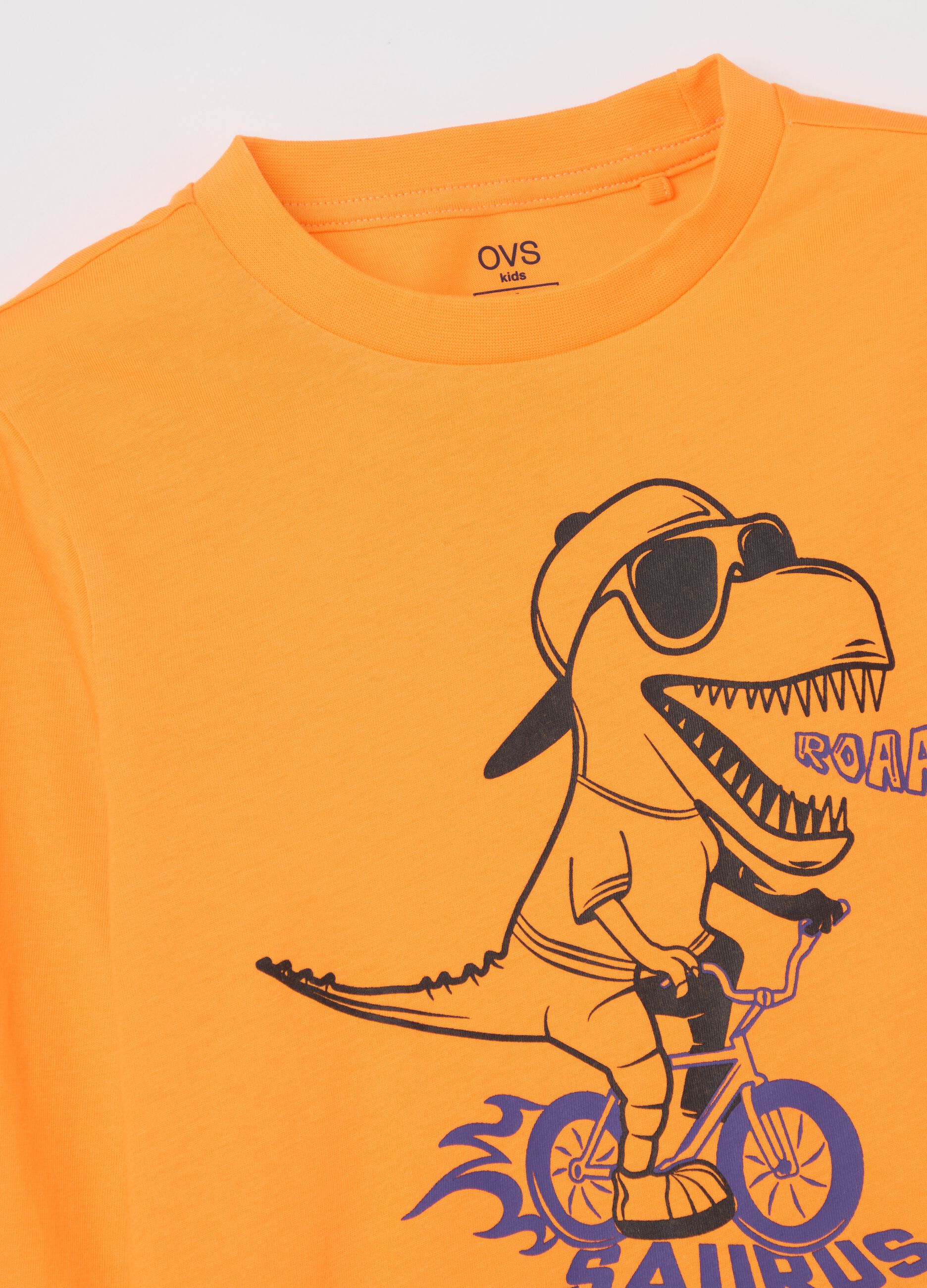 Long-sleeved T-shirt in cotton with print