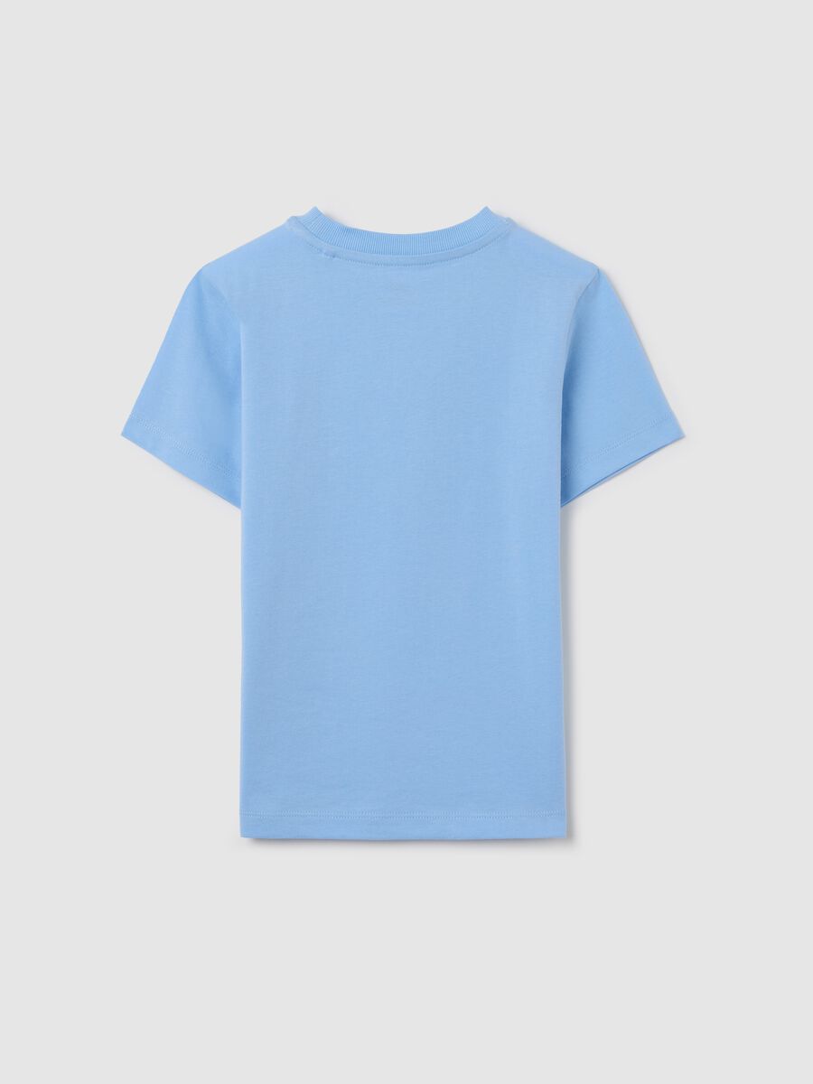Light blue cotton T-shirt with lettering print_1
