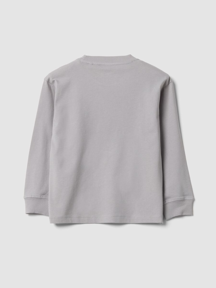 Grey pure cotton crew-neck T-shirt with Top Speed Driver print_1